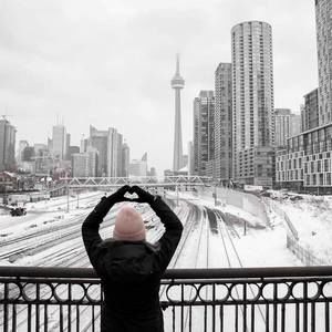 Meet your Posher, Bella